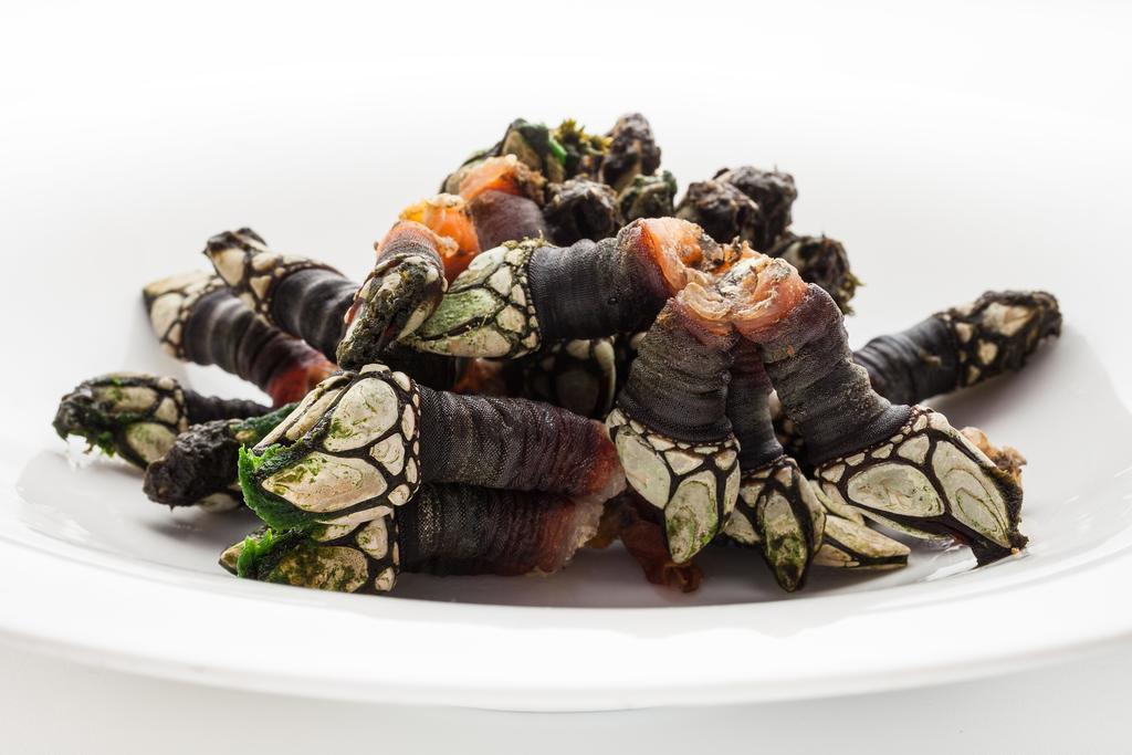 Hotel Restaurante Cabo Vidio Oviñana المظهر الخارجي الصورة